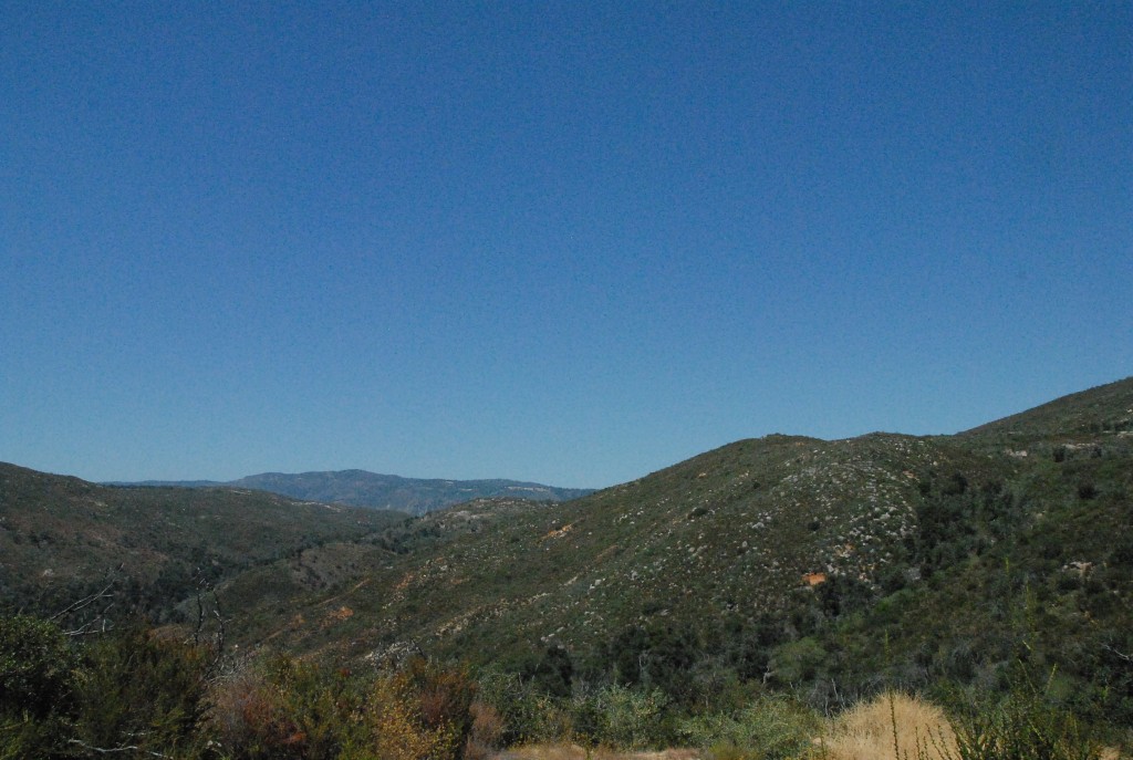 Brush-Covered Knolls Knolls photo image