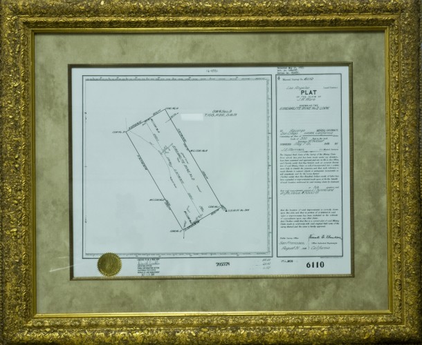 Mountain Lily Mine Plat Mountain Lily Plat photo image