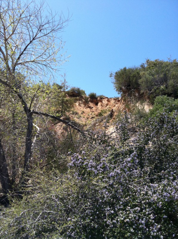 Ware3 Bluff photo image