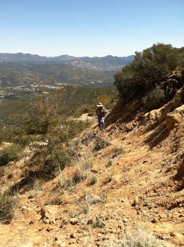 Ware4 John Surveys Bluff photo image