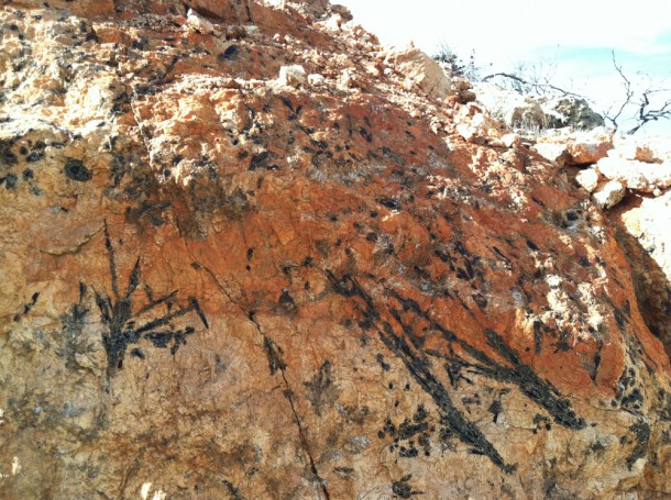 Pegmatite with Tourmaline photo image