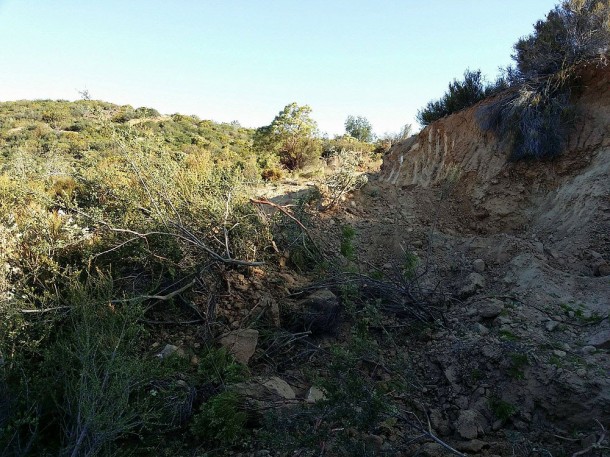 Mtn Lily first day expose pegs 2 Pegmatite Being Exposed photo image